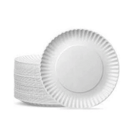 Homeley's Paper Plates (Pack of 100) R5 Rebates